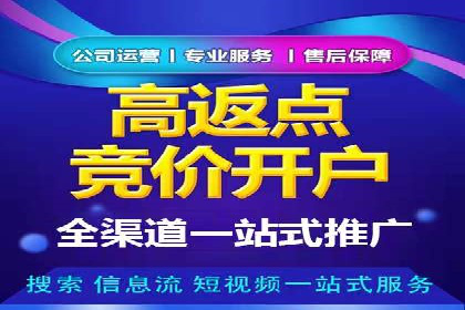 成功SEM账户运营案例解析
